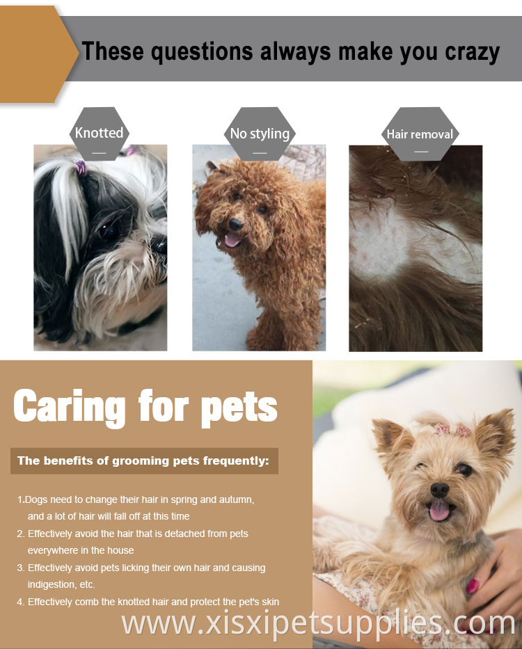 Factory Wholesale Bamboo Wooden Long Pin Dog Brush Pet Cat Wire Grooming Slicker Brush With Sticky Beads